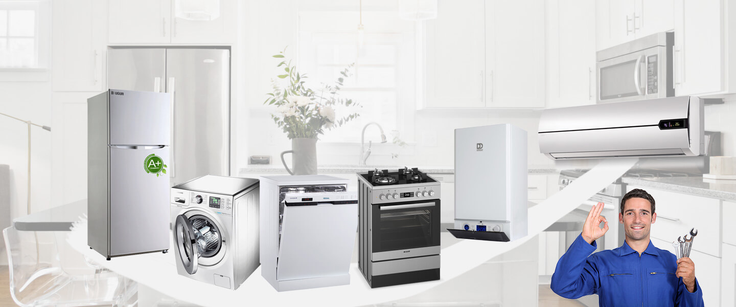 Aybastı Electrolux Servisi